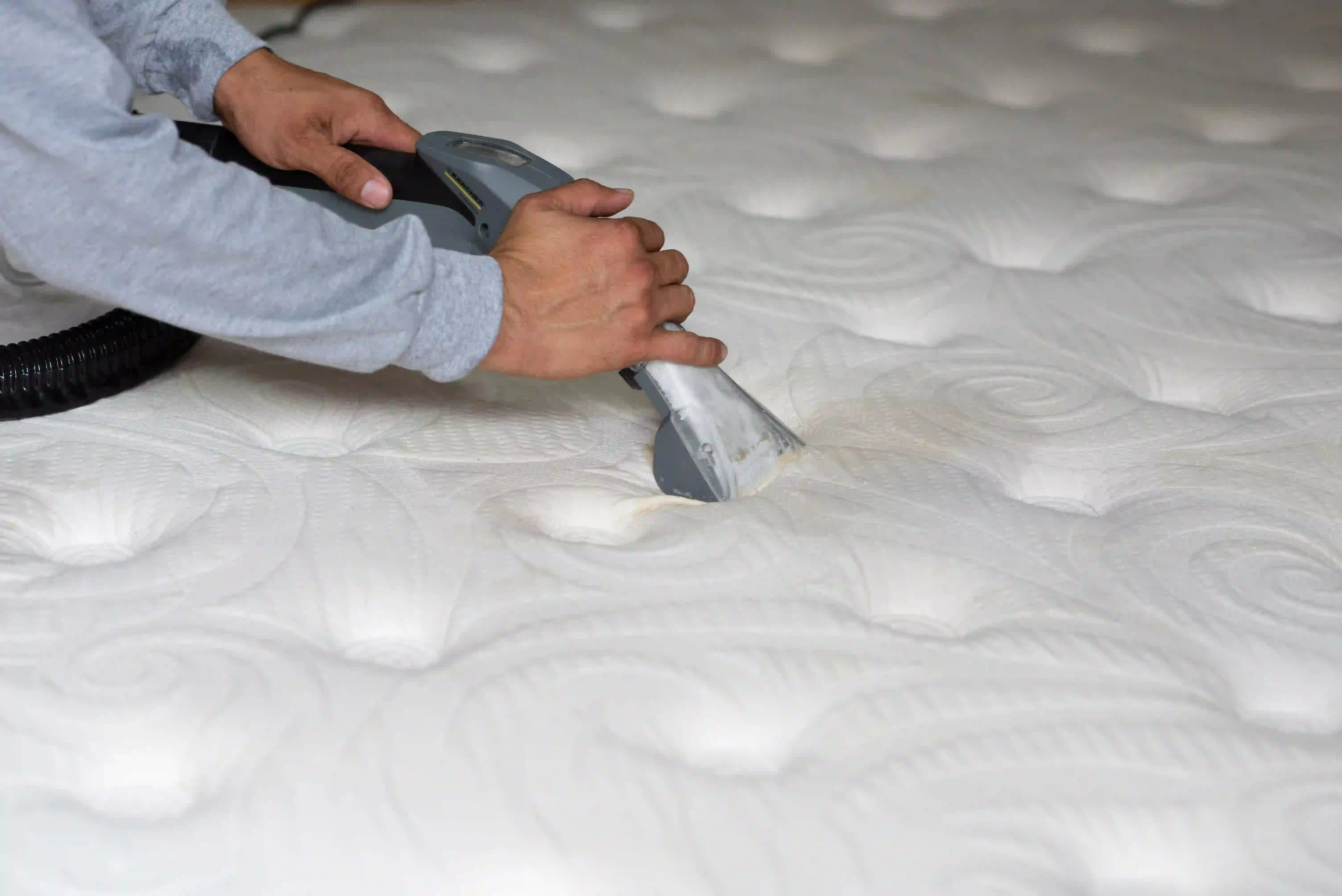 img-domestica-3