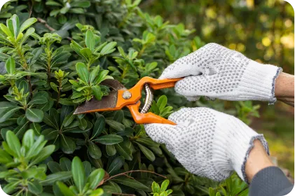 img-jardineria-1